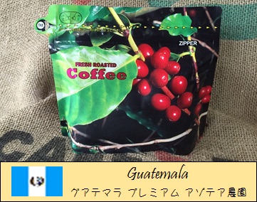コーヒー豆 / グアテマラ アンティグア アゾテア農園 200g